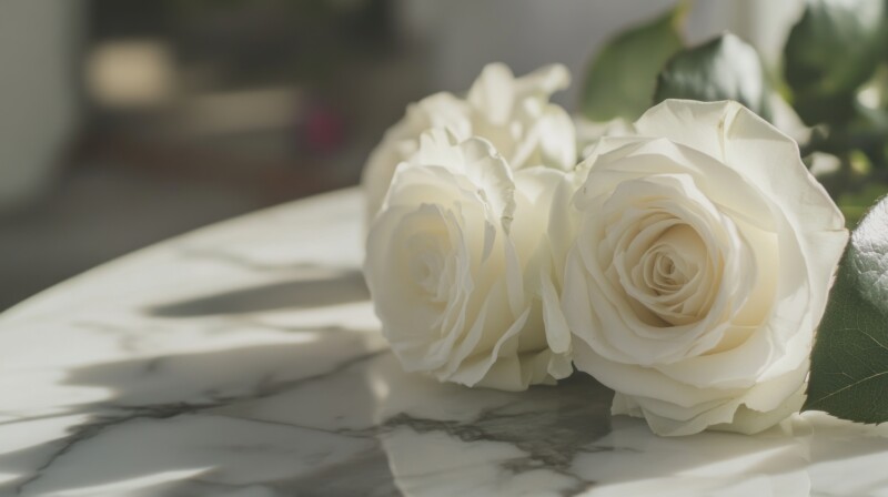 Close-up of White Roses on Marble Table